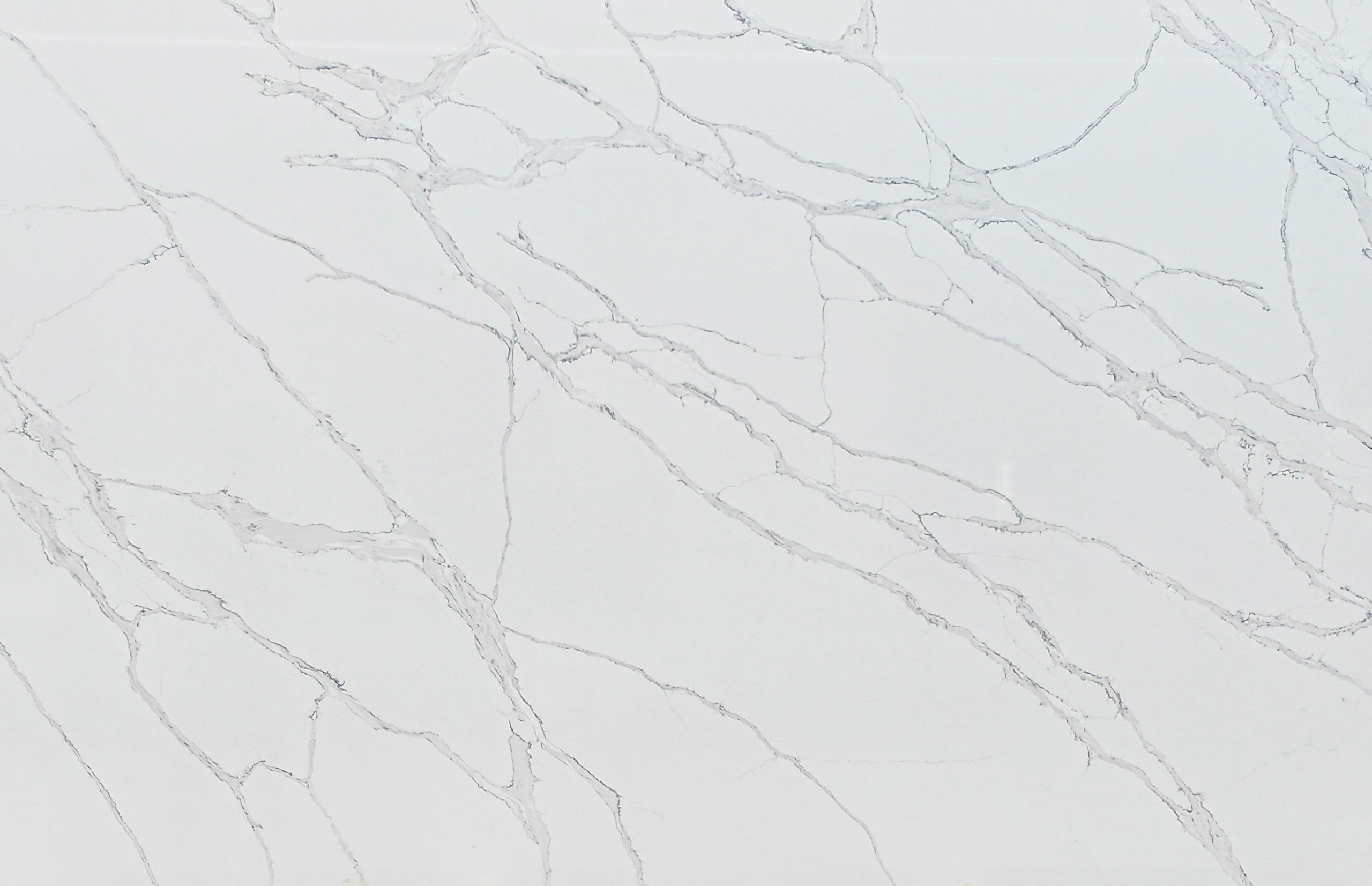 calacatta elegante quartz slab kitchen countertop surface